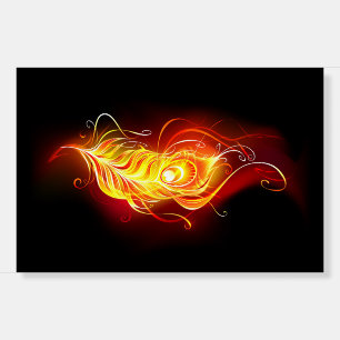 Fire Peacock Feather Foam Board