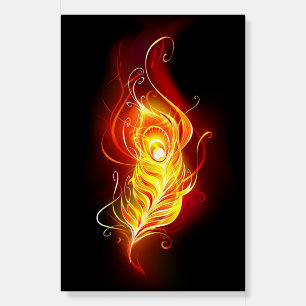 Fire Peacock Feather Foam Board