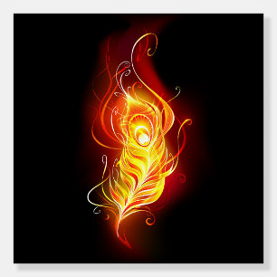 Fire Peacock Feather Foam Board