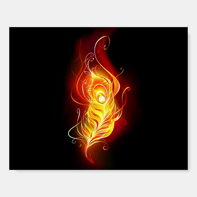 Fire Peacock Feather Foam Board (Front)