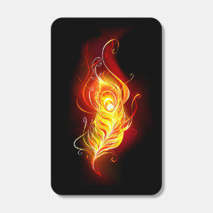 Fire Peacock Feather Matchboxes