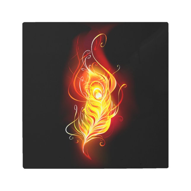 Fire Peacock Feather Metal Print (Front)