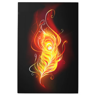Fire Peacock Feather Metal Print