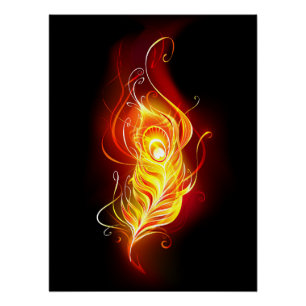 Fire Peacock Feather Poster