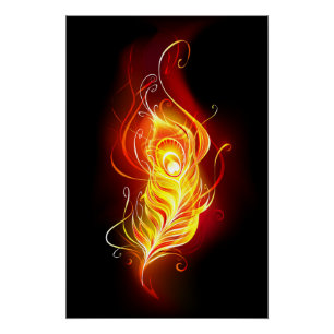 Fire Peacock Feather Poster