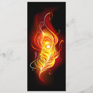 Fire Peacock Feather Program