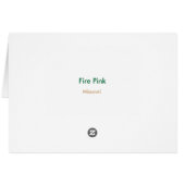 Fire Pink - Customized Cards (Back Horizontal)