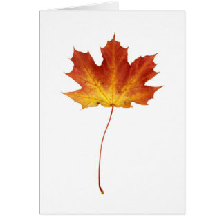 Fire Red Maple Leaf Card