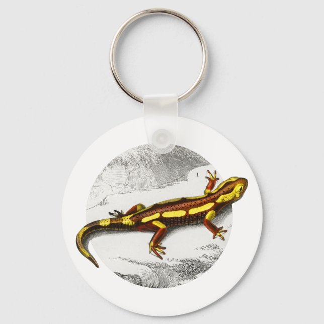 Fire Salamander - Salamandra Keychain (Front)