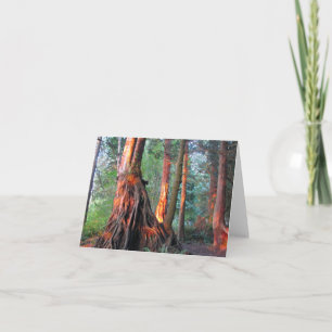 Fire Trees Card