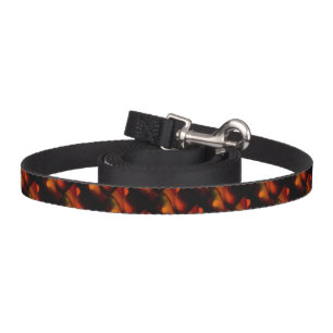 Fire Wave Pet Leash