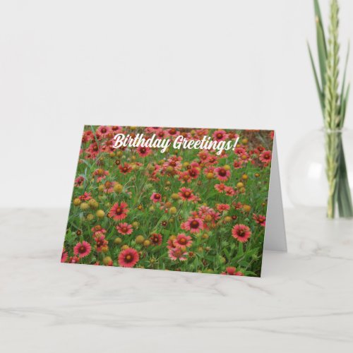 Fire Wheel Flower Meadow Birthday Card