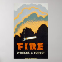Fire Wrecks a Forest