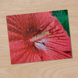 Fireball Hibiscus Flower With Raindrops Photo Jigsaw Puzzle<br><div class="desc">An amazing red hibiscus bloom fills most of the photograph. The blossom was the size of a salad plate. Raindrops cover the petals. Shallow depth of field highlights the unusual pistil and stamen formation. Five round, dark red, fuzzy stigmas atop styles curve backwards at the end of the flower's central...</div>