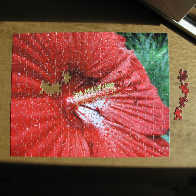 Fireball Hibiscus Flower With Raindrops Photo Jigsaw Puzzle (Red Fireball Hibiscus Flower With Raindrops Photo Jigsaw Puzzle, in situ)