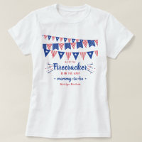 Firecracker On The Way! 4th Of July Baby Shower