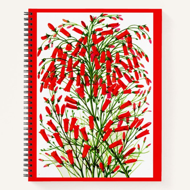 firecracker plant print notebook (Front)
