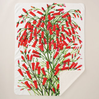 firecracker plant print sherpa blanket