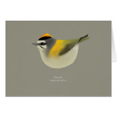 Firecrest Cards (Front Horizontal)