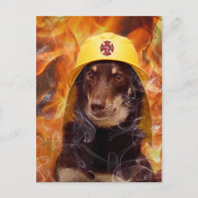 Firedog Postcard (Front)