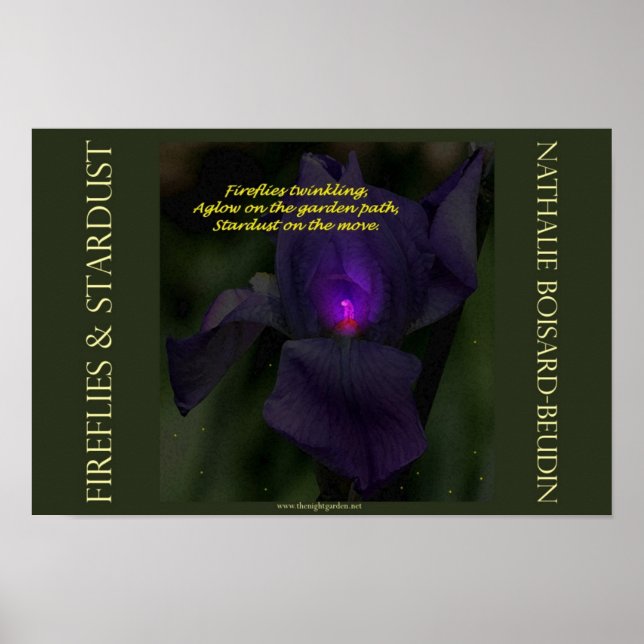 "Fireflies & Stardust" Portfolio Poster (16.5 x 11 (Front)