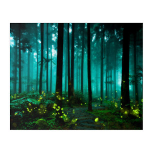 Firefly Acrylic Print