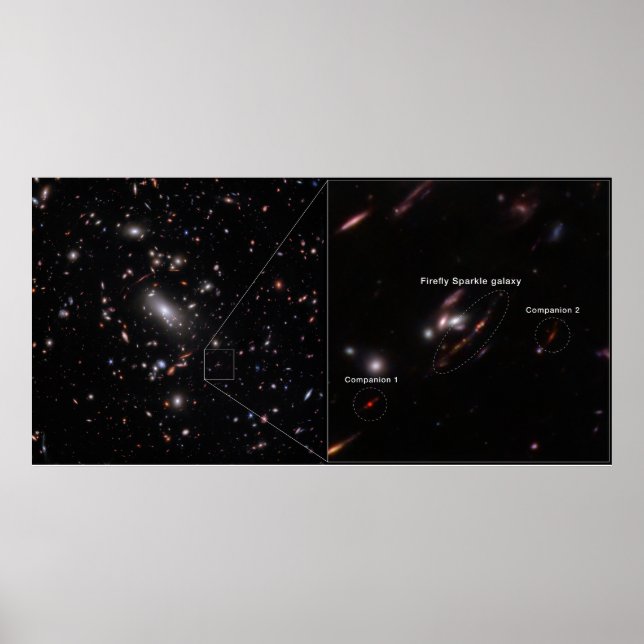 Firefly Sparkle Galaxy Cluster MACS J1423 Poster (Front)