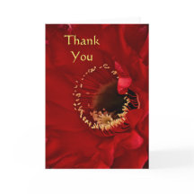 Firelight cactus Thank you