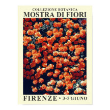 Firenze Floral Exhibit Poster