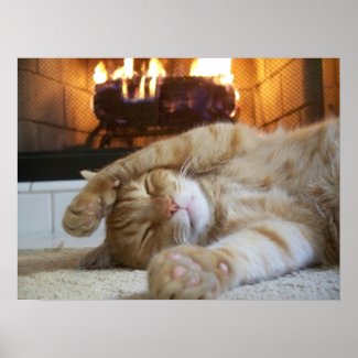 Fireplace Cat Poster