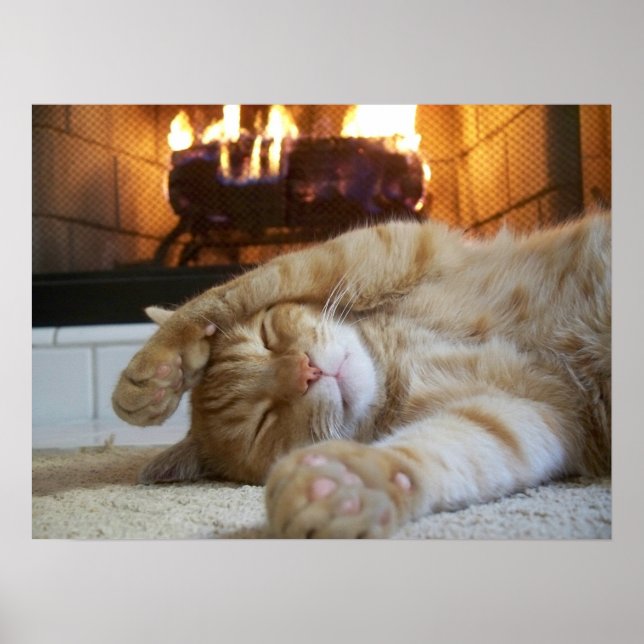 Fireplace Cat Poster (Front)