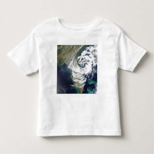 Fires and smoke in Georgia and Florida Toddler T_shirt
