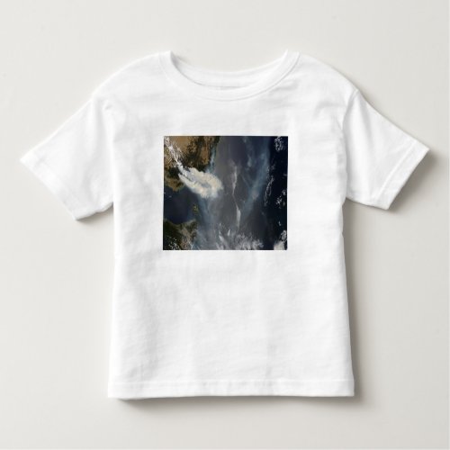 Fires and smoke in southeast Australia Toddler T_shirt