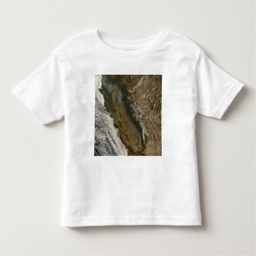 Fires in California Toddler T_shirt