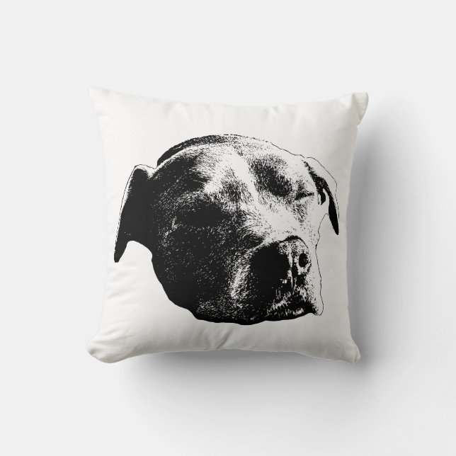 Fireside Daydream Throw Pillow (Front)