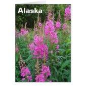 Fireweed (Front)
