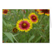 Firewheel (Front Horizontal)