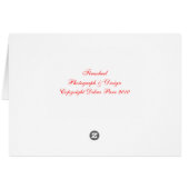 Firewheel Cards (Back Horizontal)