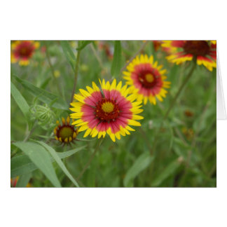 Firewheel Cards