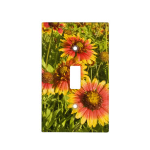 Firewheels Gaillardia pulchella) wildflowers Light Switch Cover