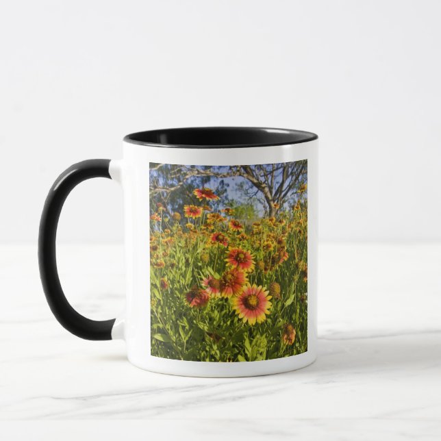 Firewheels Gaillardia pulchella) wildflowers Mug (Left)