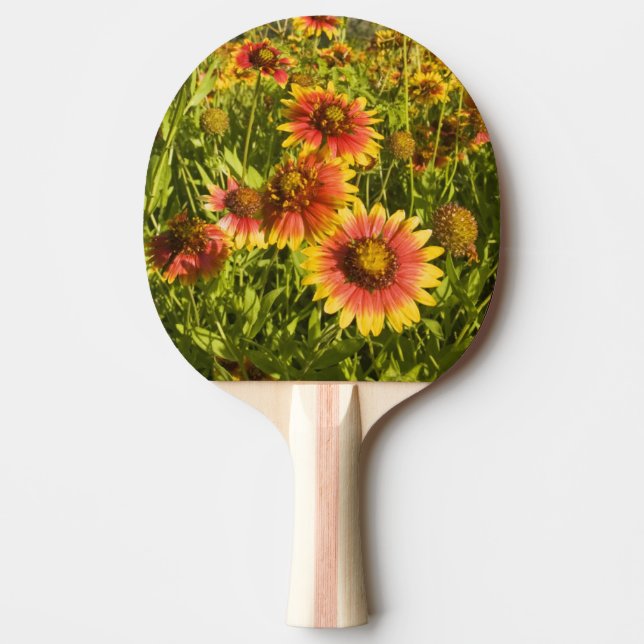 Firewheels Gaillardia pulchella) wildflowers Ping-Pong Paddle (Front)