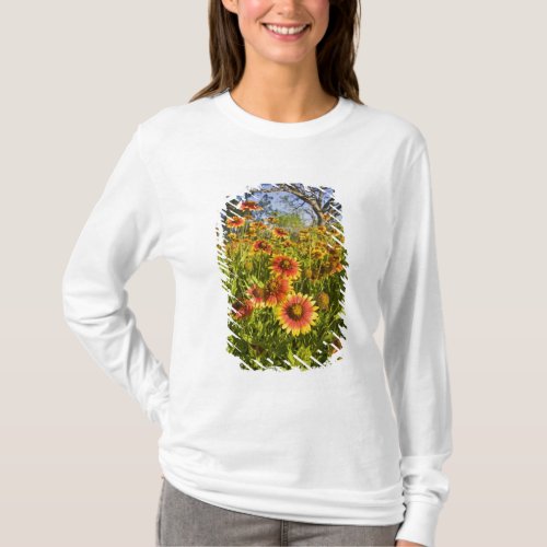 Firewheels Gaillardia pulchella wildflowers T_Shirt