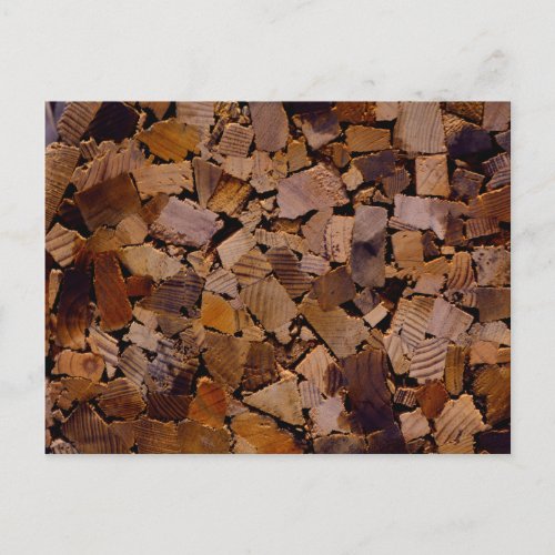 Firewood rustic cabin wood grain tree bark pattern postcard