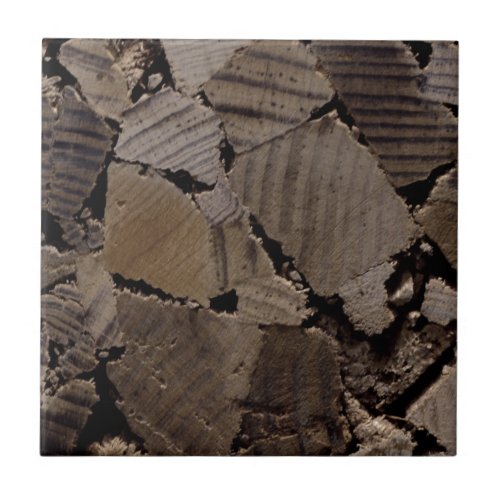 Firewood rustic cabin wood grain tree bark pattern tile