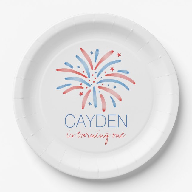 Firework Fourth of July Birthday Paper Plates (Front)