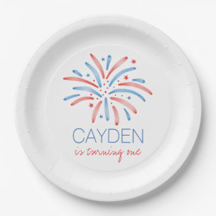 Firework Fourth of July Birthday Paper Plates