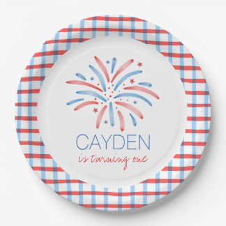 Firework Fourth of July Birthday Paper Plates