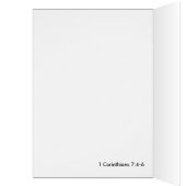 Fireworks (Inside (Left))