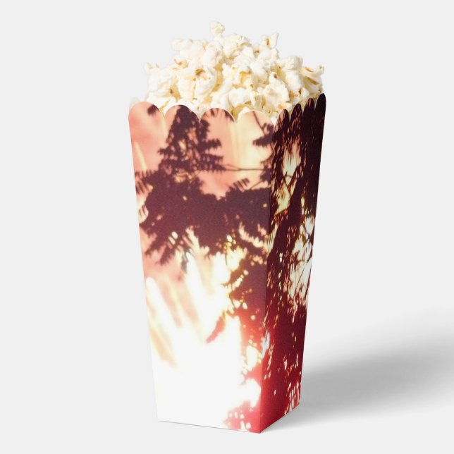 Fireworks 12 popcorn boxes (Popped)